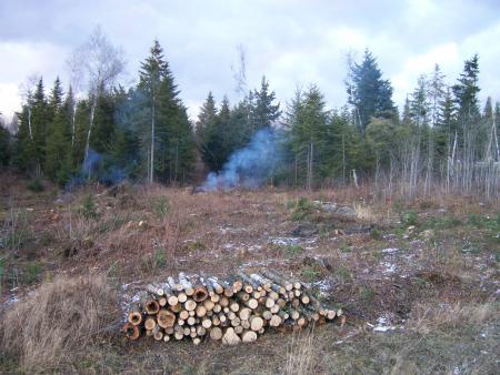 Notre terrain
